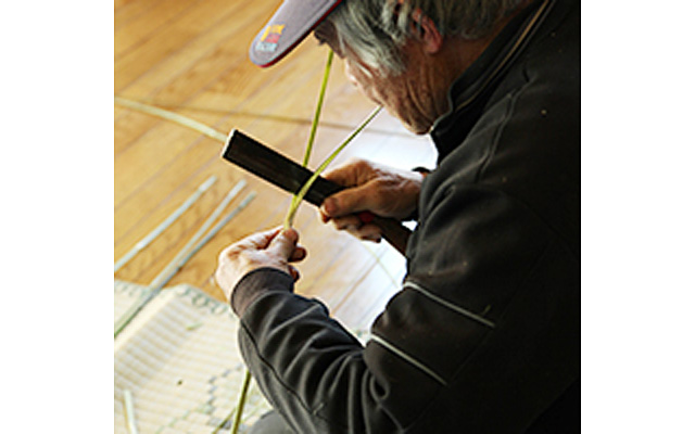 Photo07