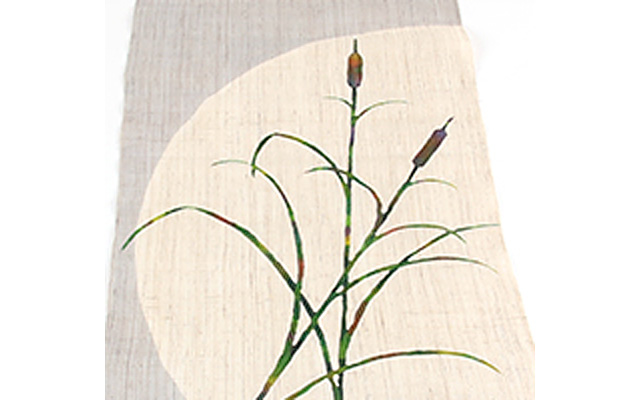 Image05