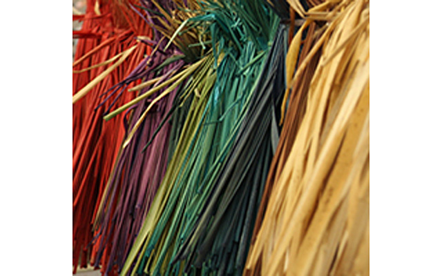 Image07